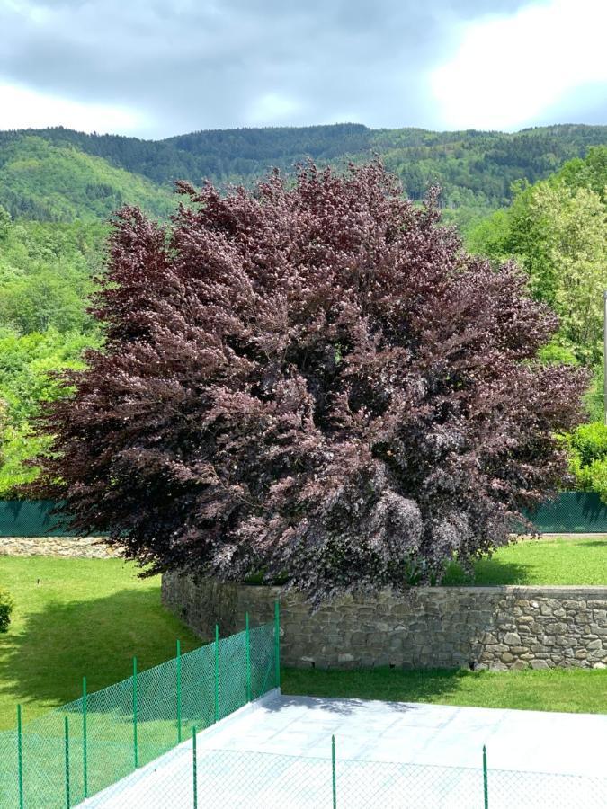 Nidi Del Faggio Rosso - Family Holiday Home Maresca Luaran gambar